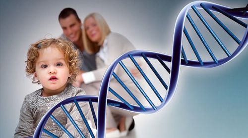 Ребенок, родители и спираль ДНК