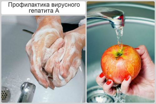 Профилактика гепатита А